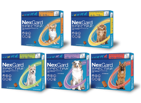 🐾 Protege a tu mascota en Managua, Nicaragua con NexGard Spectra: Compra y entrega a domicilio en Veterinaria Managua 🚚