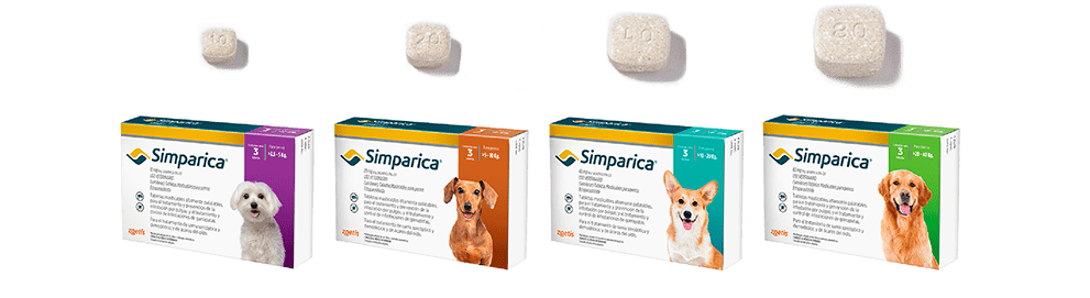 ¡Mejora la salud de tu mascota con Simparica! 🐶🚀 | Veterinaria Managua