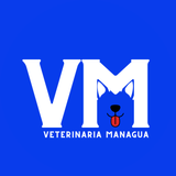 Veterinaria Managua